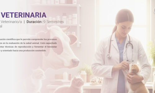 miniatura del curso